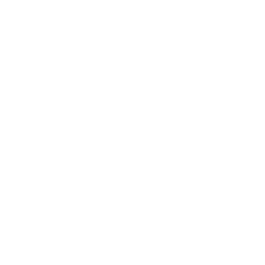 Bluebird Invest Logo